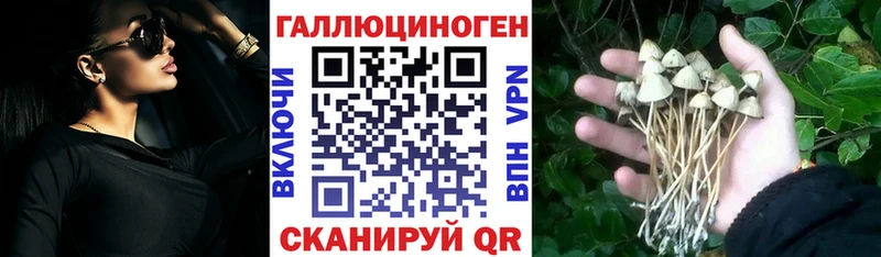 Псилоцибиновые грибы GOLDEN TEACHER  Углич 